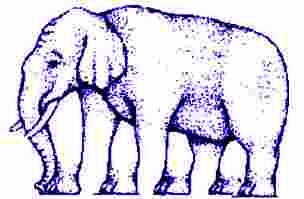 5-Bein-Elefant